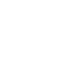 Diplomatic Sessions